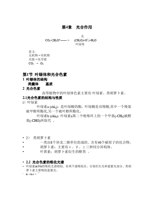 光合作用详细讲解