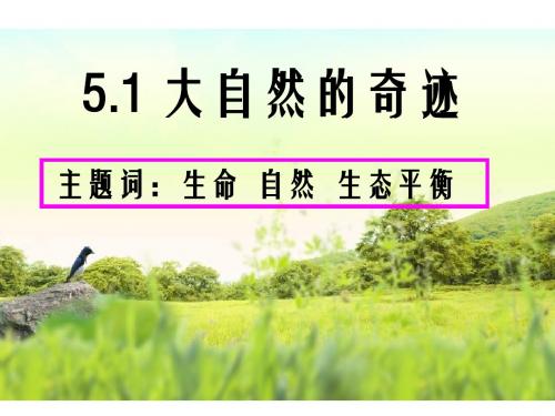 【初中政治】美丽多样的生命PPT课件3