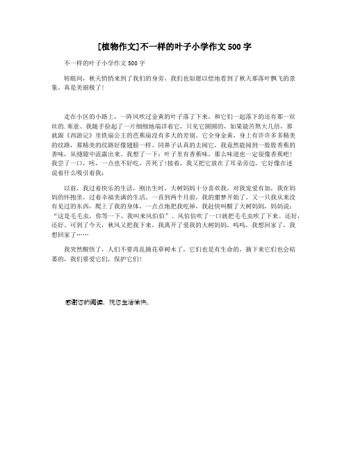 [植物作文]不一样的叶子小学作文500字