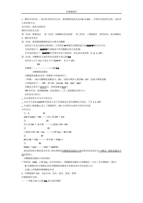 柠檬酸循环