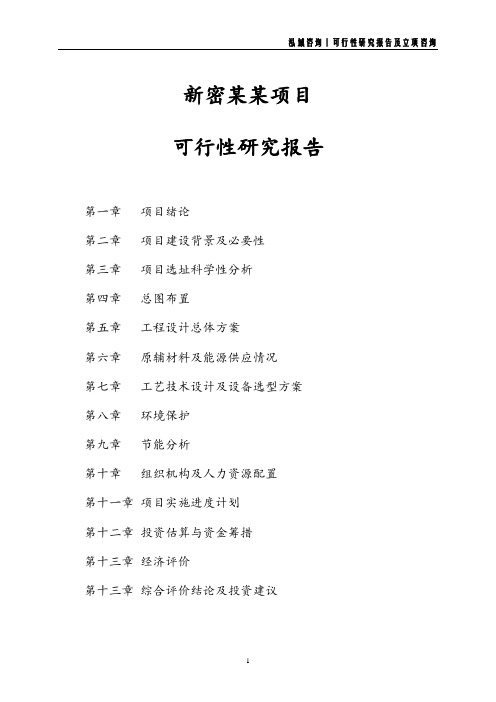 新密项目可行性研究报告