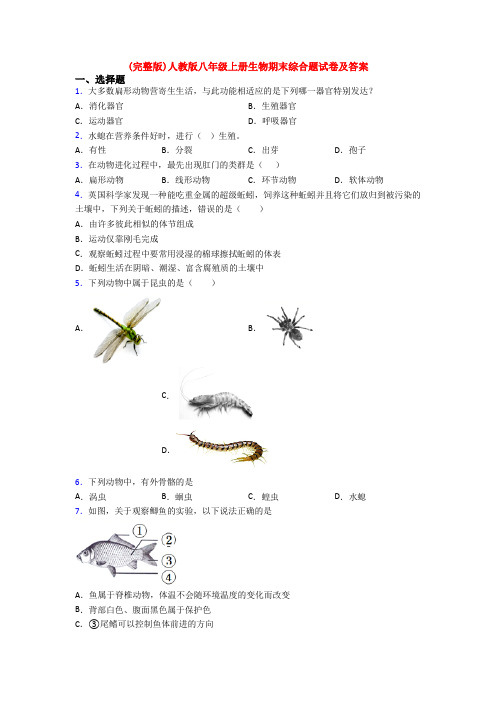 (完整版)人教版八年级上册生物期末综合题试卷及答案