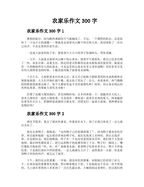 农家乐作文300字