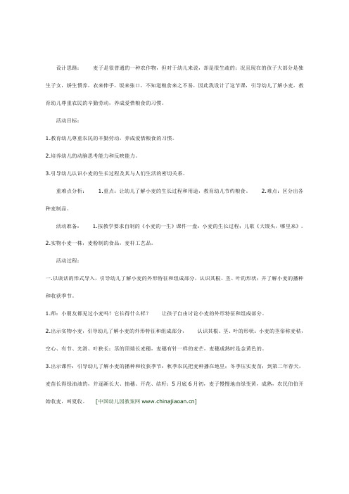 幼儿园中班社会教案-小麦的一生