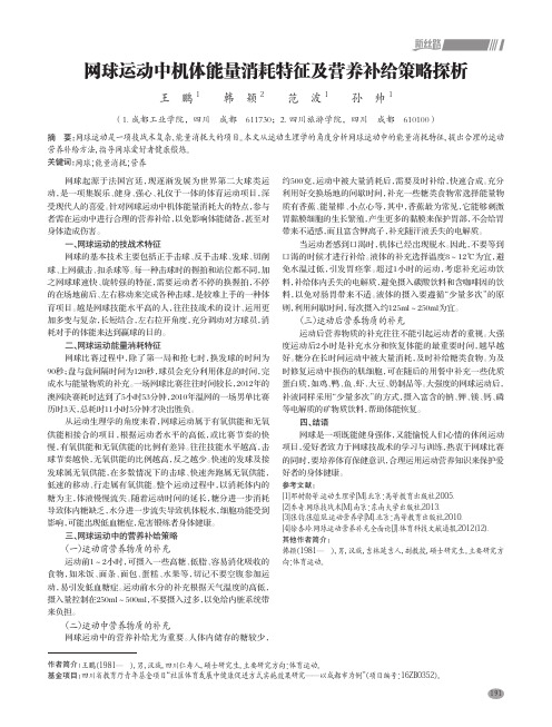 网球运动中机体能量消耗特征及营养补给策略探析