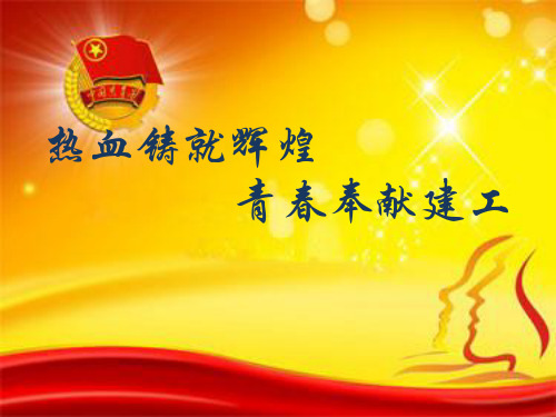 团支部工作汇报 ppt课件