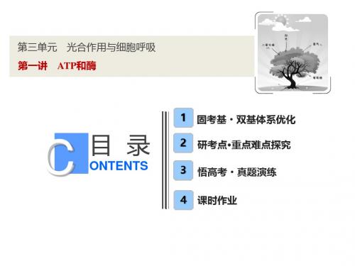 【苏教版】2019版高考一轮：3.1-ATP和酶ppt精品课件(含答案)