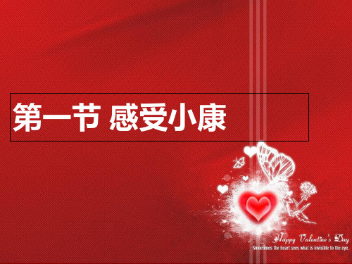 湘教版思想品德八年级下册第三课第一节 感受小康(共13张PPT)