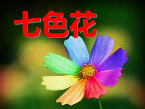 《七色花》PPT课件