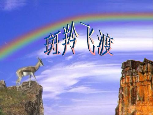 27.《斑羚飞渡》课件1