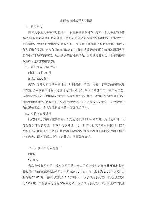 水污染控制工程实习报告(实用版)