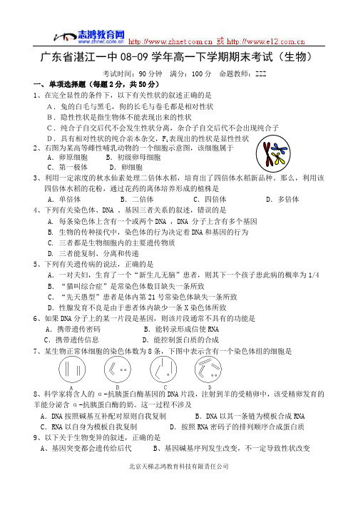 广东省湛江一中08-09学年高一下学期期末考试(生物)