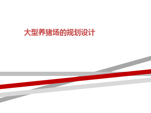 大型养猪场的规划设计