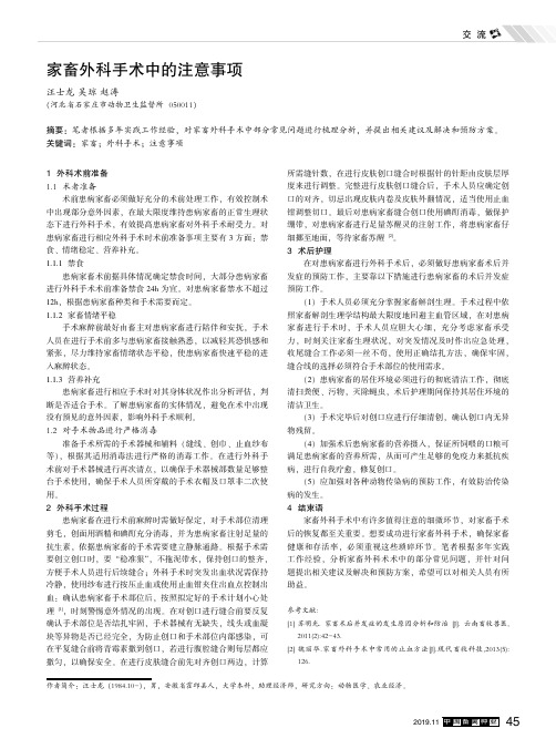 家畜外科手术中的注意事项