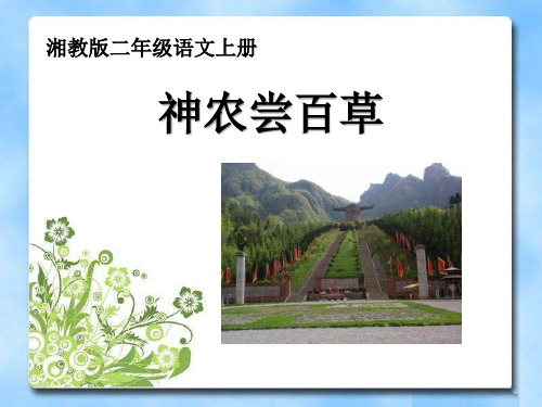 《神农尝百草》PPT课件 (共13张PPT)
