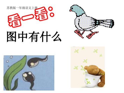苏教版语文一年级上册：汉语拼音g k h 课件 (1)(共12张PPT)
