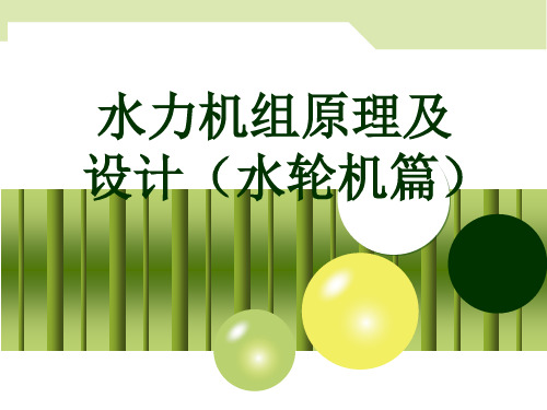 轴伸式贯流机组竖井贯流式水轮机