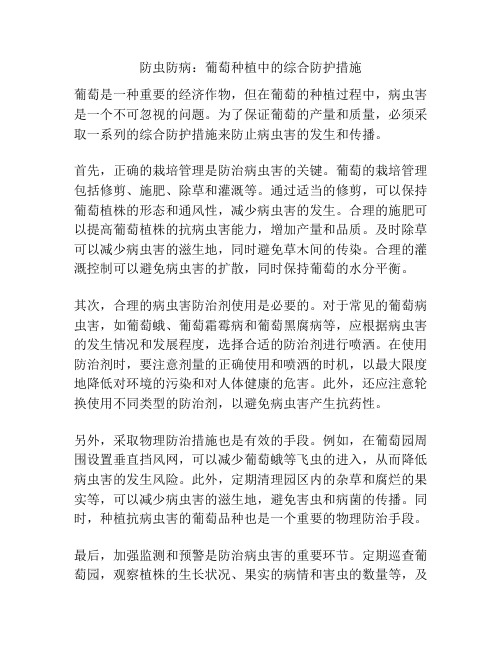 防虫防病：葡萄种植中的综合防护措施