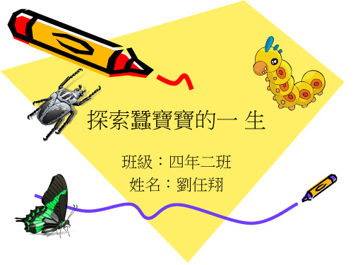 探索蚕宝宝的一.ppt