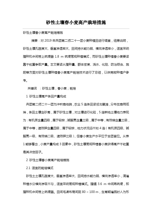 砂性土壤春小麦高产栽培措施