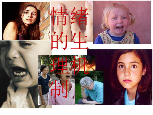 情绪的生理机制