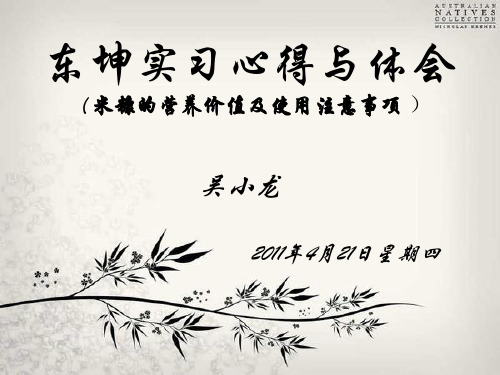 米糠的营养价值
