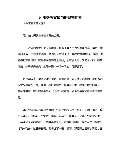 运用多感官描写的景物作文