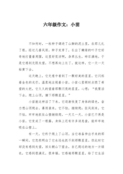 六年级作文：小苗