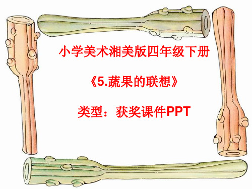 小学美术湘美版四年级下册《5.蔬果的联想》课件PPTA014