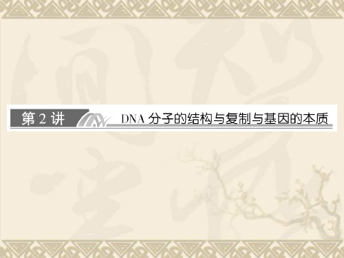 高考生物一轮复习课件必修二 3-2 DNA分子的结构与复制与基因的本质