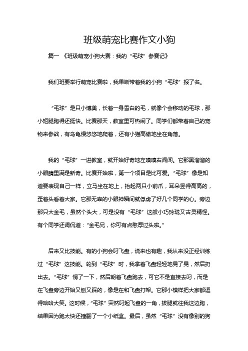 班级萌宠比赛作文小狗