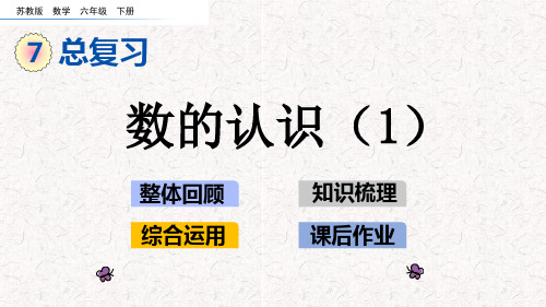 苏教版六年级下册数学第七单元总复习(1)
