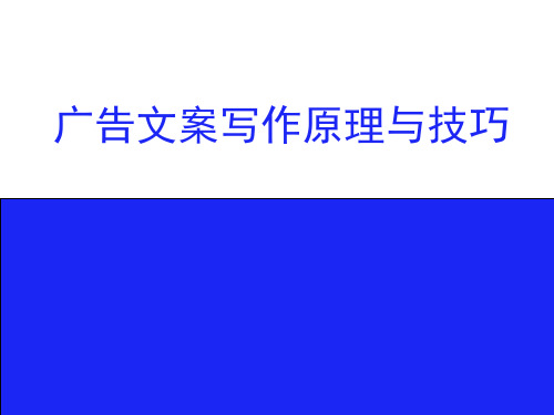 广告文案写作原理与技巧