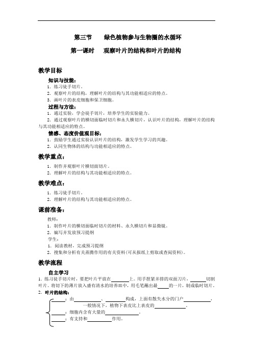 第三节第一课时 观察叶片的结构和叶片的结构