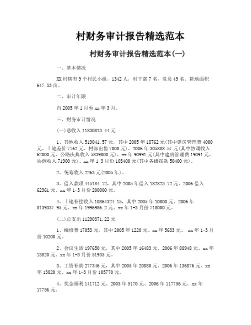 村财务审计报告精选范本