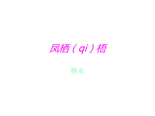 凤栖梧_柳永_ppt课件
