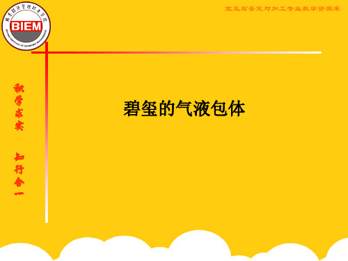 【实用】碧玺的气液包裹体PPT文档