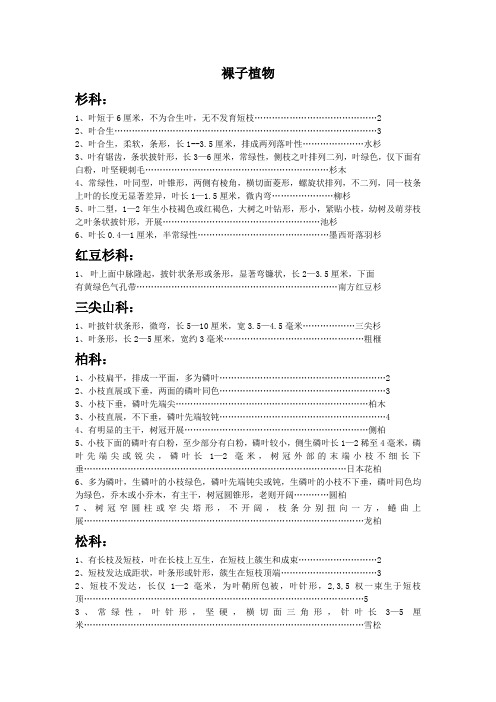 裸子植物检索表