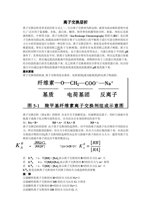 离子交换层析