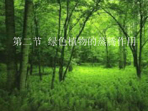 绿色植物的蒸腾作用讲解