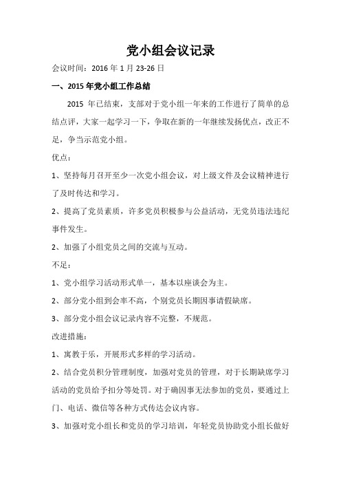 2016年党小组会议记录