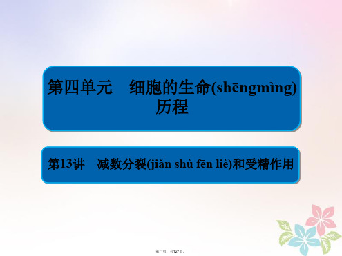 全国版高考生物一轮复习第13讲减数分裂和受精作用课件