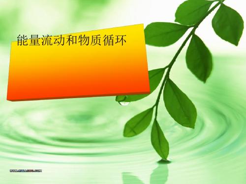 能量流动和物质循环ppt课件(自制)2