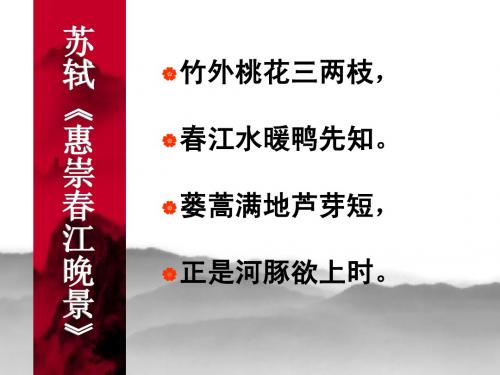生物指示