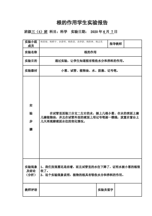 根的作用学生实验报告