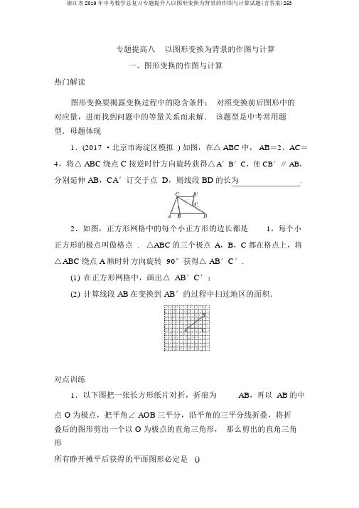 浙江省2019年中考数学总复习专题提升八以图形变换为背景的作图与计算试题(含答案)253