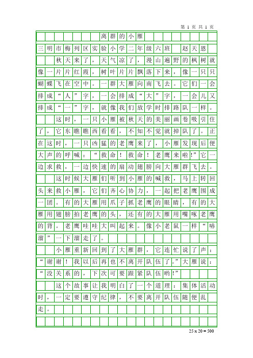 赵天恩——离群的小雁
