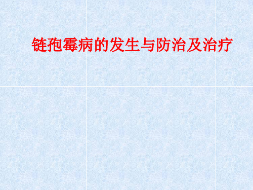 链孢霉病的发生与防治及治疗方法