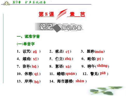 高中语文人教选修《外国小说欣赏》课件：第四单元 第8课 素芭