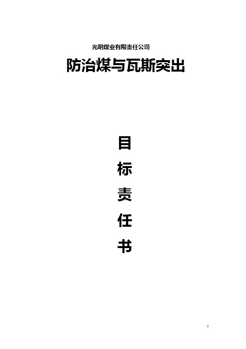 防治煤与瓦斯突出目标岗位责任书范本
